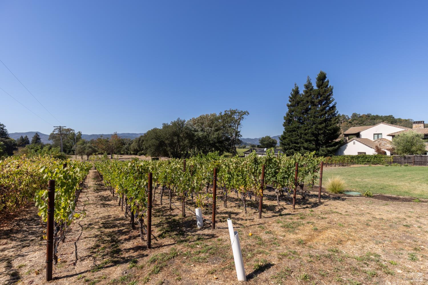 7031 Silverado Trail Napa CA 94558
