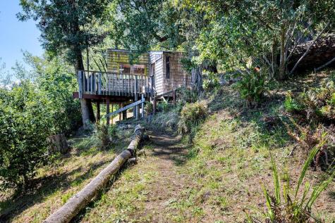 57 Laurel Street Inverness CA 94937