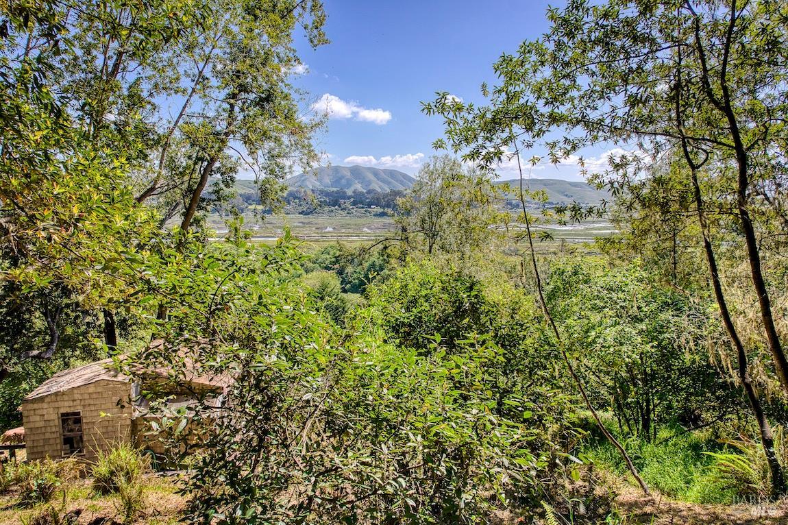 57 Laurel Street Inverness CA 94937