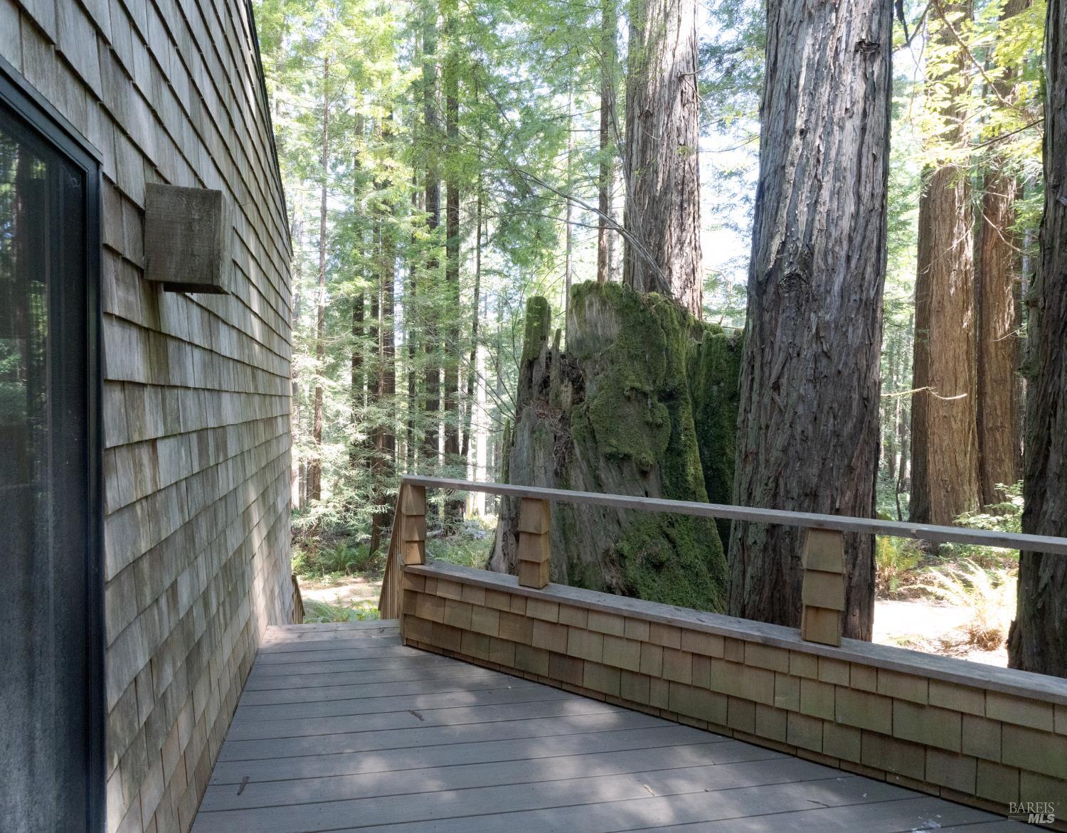36437 East Ridge Road The Sea Ranch CA 95497