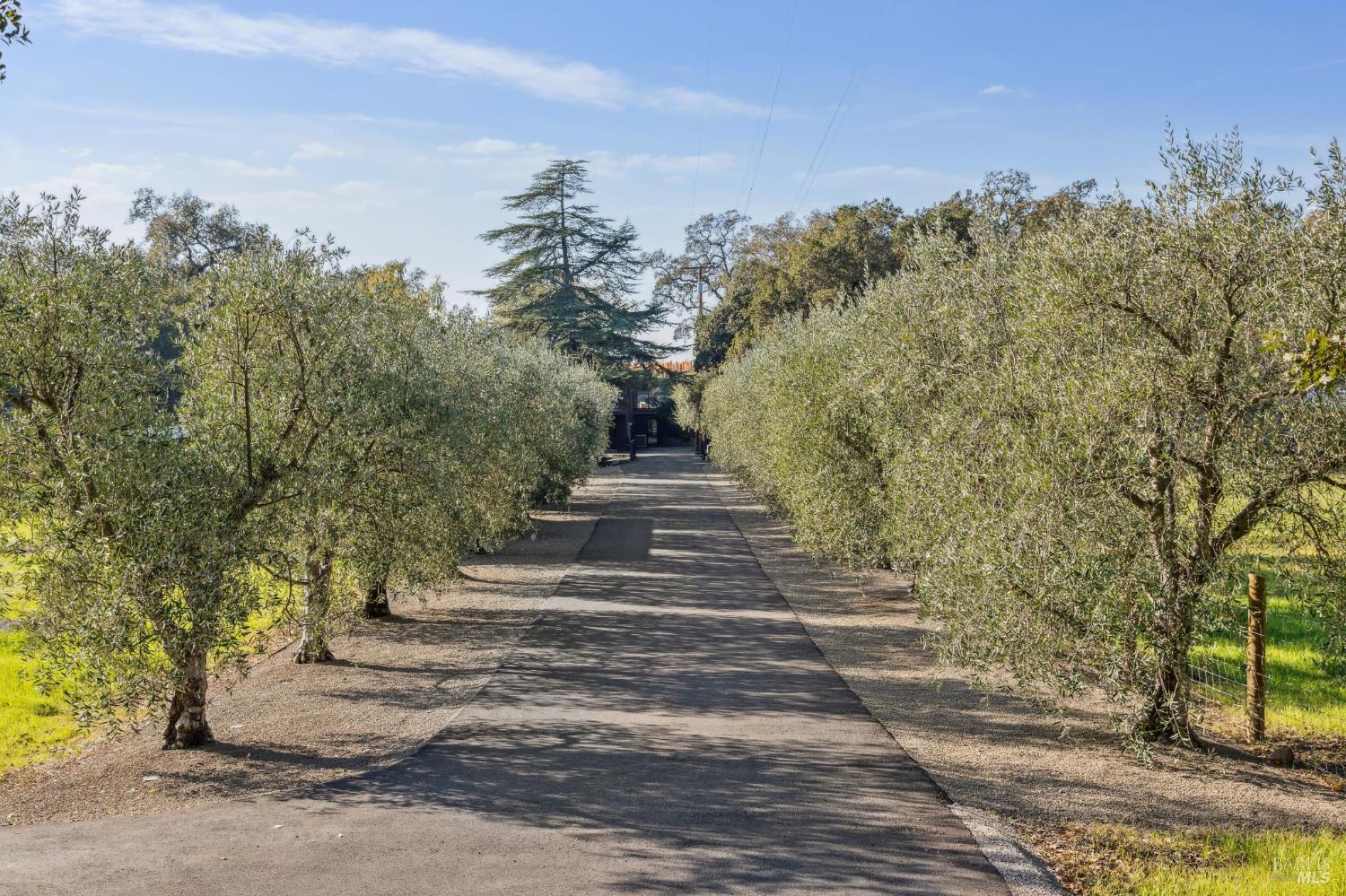 1135 Soda Canyon Road Napa CA 94558