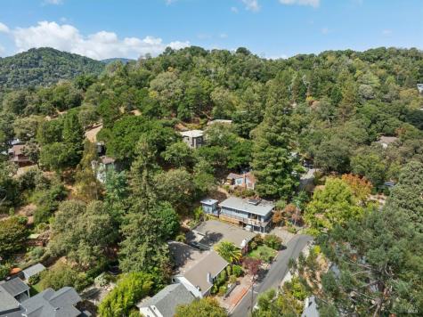 115 Santa Cruz Avenue San Anselmo CA 94960
