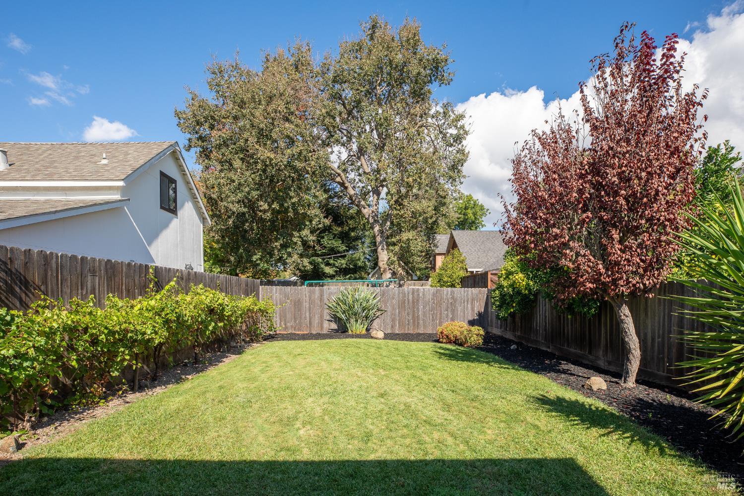 2030 Pine Street Napa CA 94559