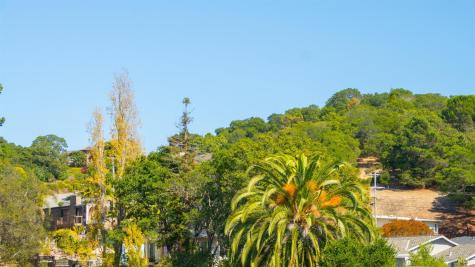 4 Teakwood Court San Rafael CA 94901