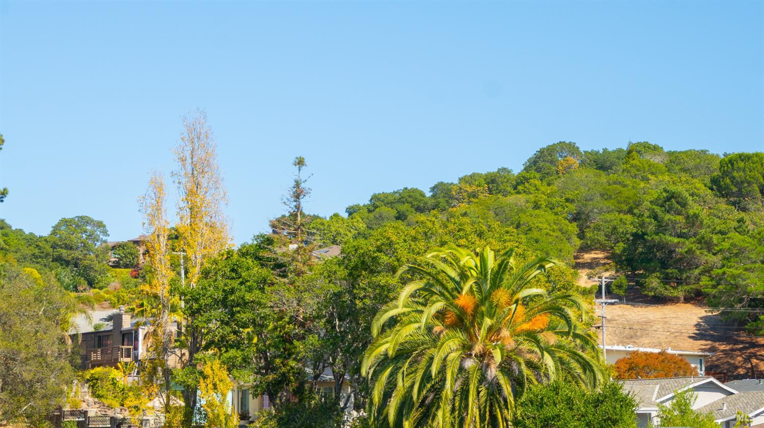 4 Teakwood Court San Rafael CA 94901