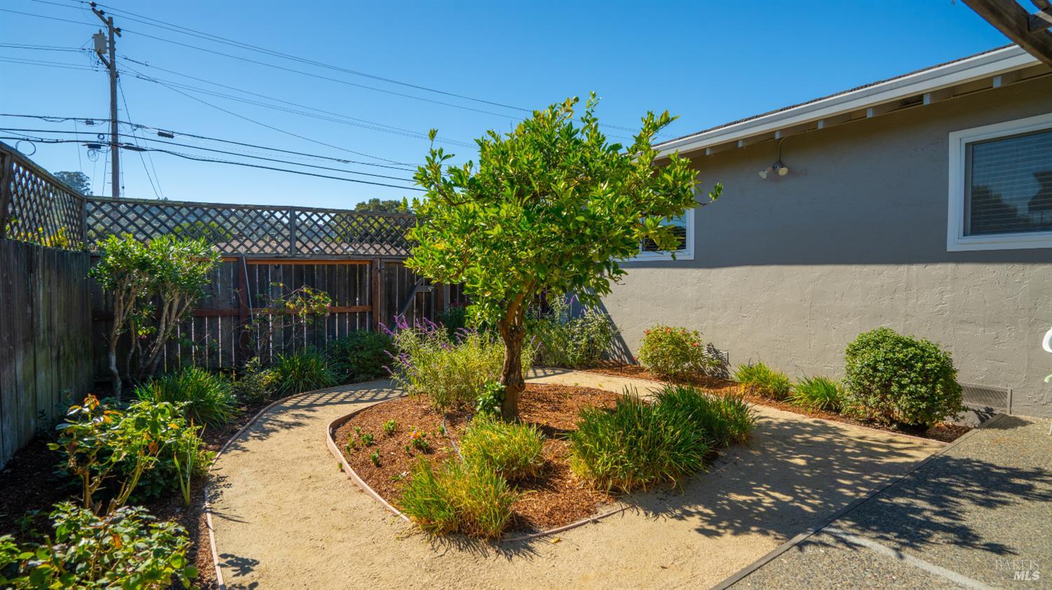 4 Teakwood Court San Rafael CA 94901