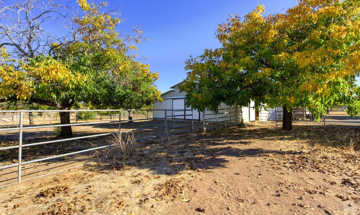 2325 Bell Hill Road Kelseyville CA 95451