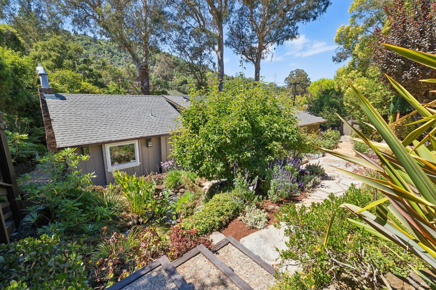 1407 Casa Buena Drive Corte Madera CA 94925
