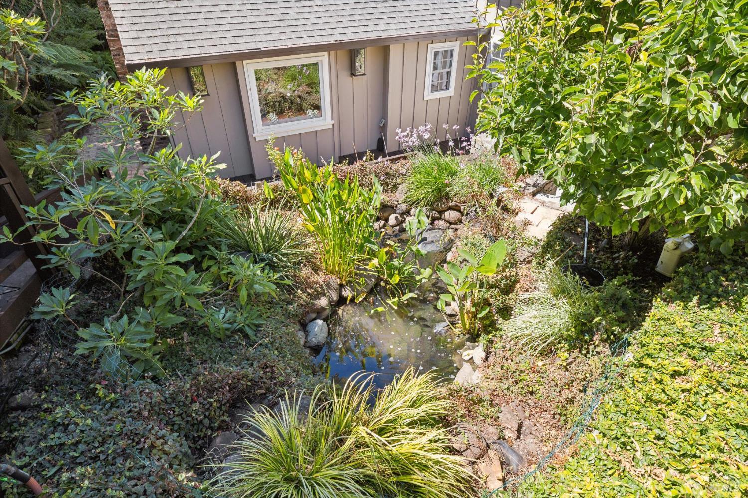 1407 Casa Buena Drive Corte Madera CA 94925