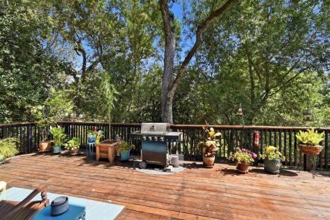 178 Yulupa Circle Santa Rosa CA 95405