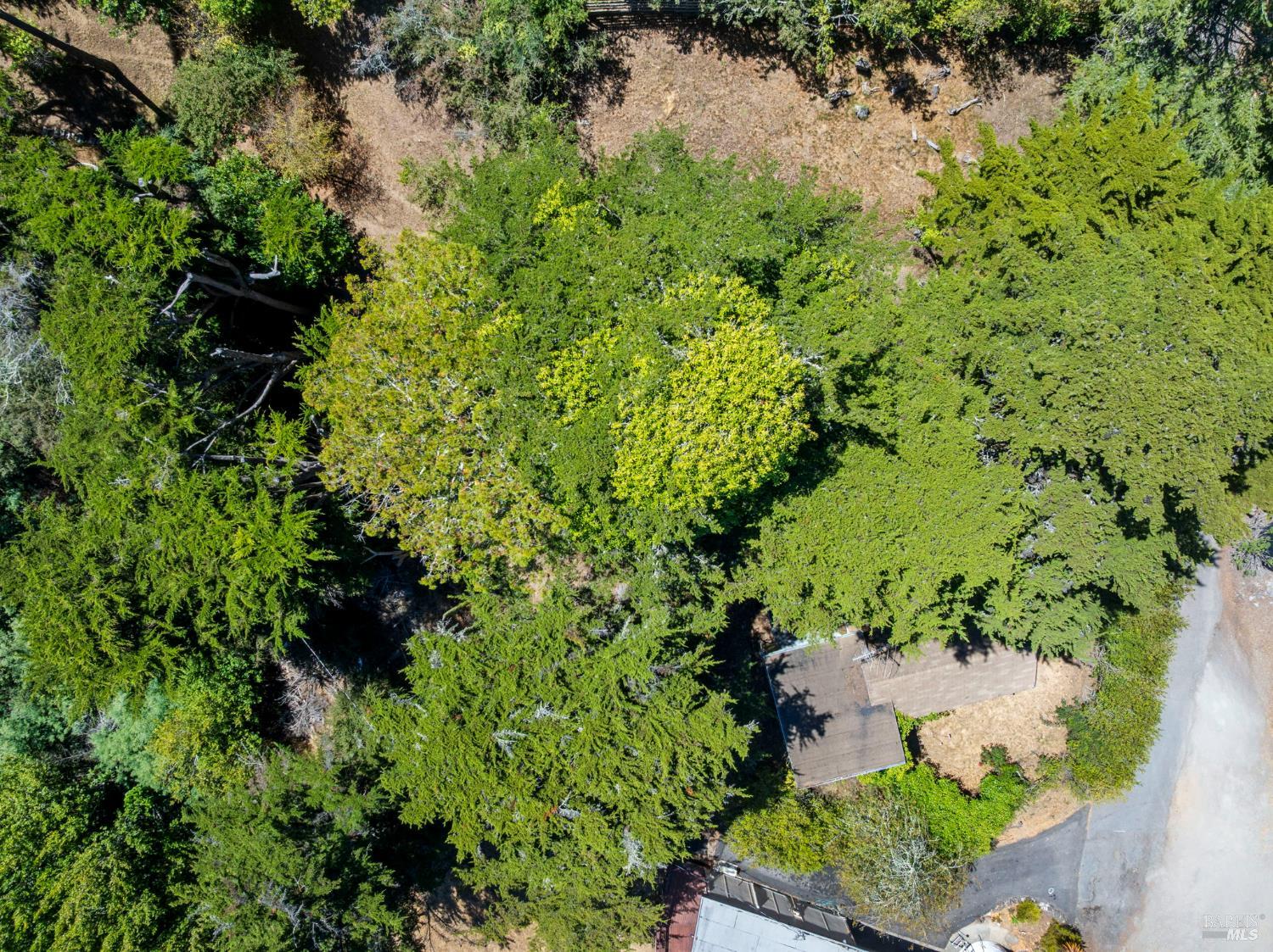 76 Monte Cimas Avenue Mill Valley CA 94941