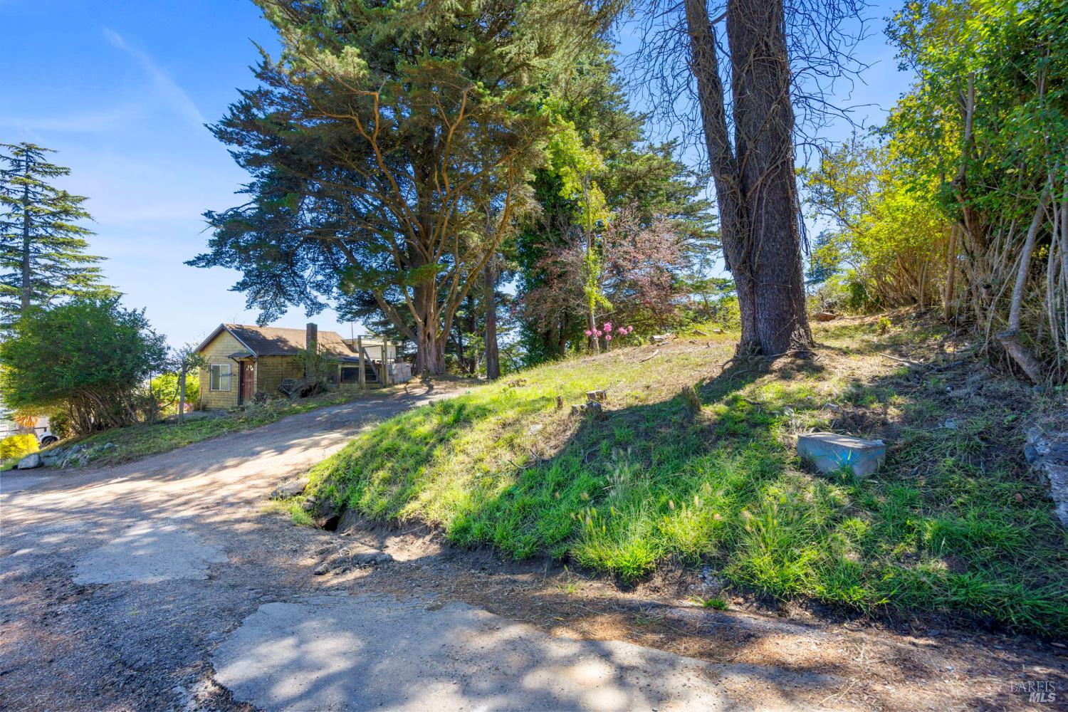 76 Monte Cimas Avenue Mill Valley CA 94941
