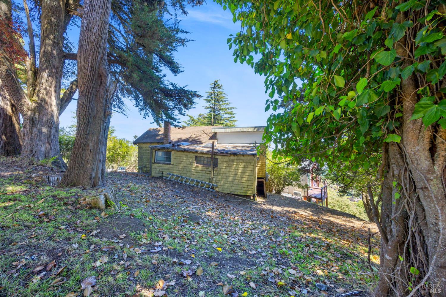 76 Monte Cimas Avenue Mill Valley CA 94941