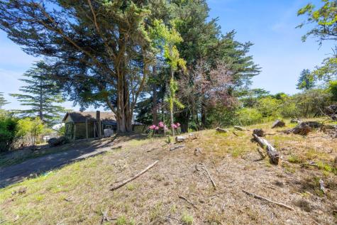 76 Monte Cimas Avenue Mill Valley CA 94941