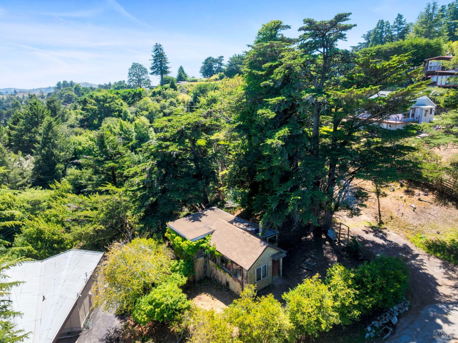 76 Monte Cimas Avenue Mill Valley CA 94941