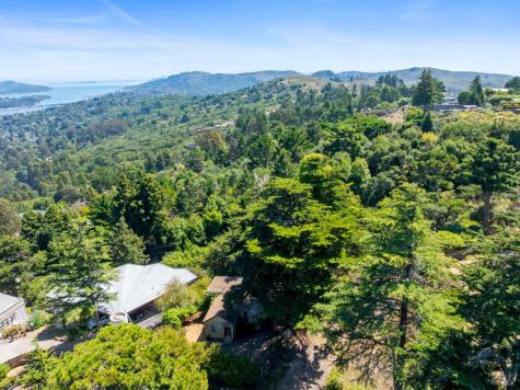 76 Monte Cimas Avenue Mill Valley CA 94941