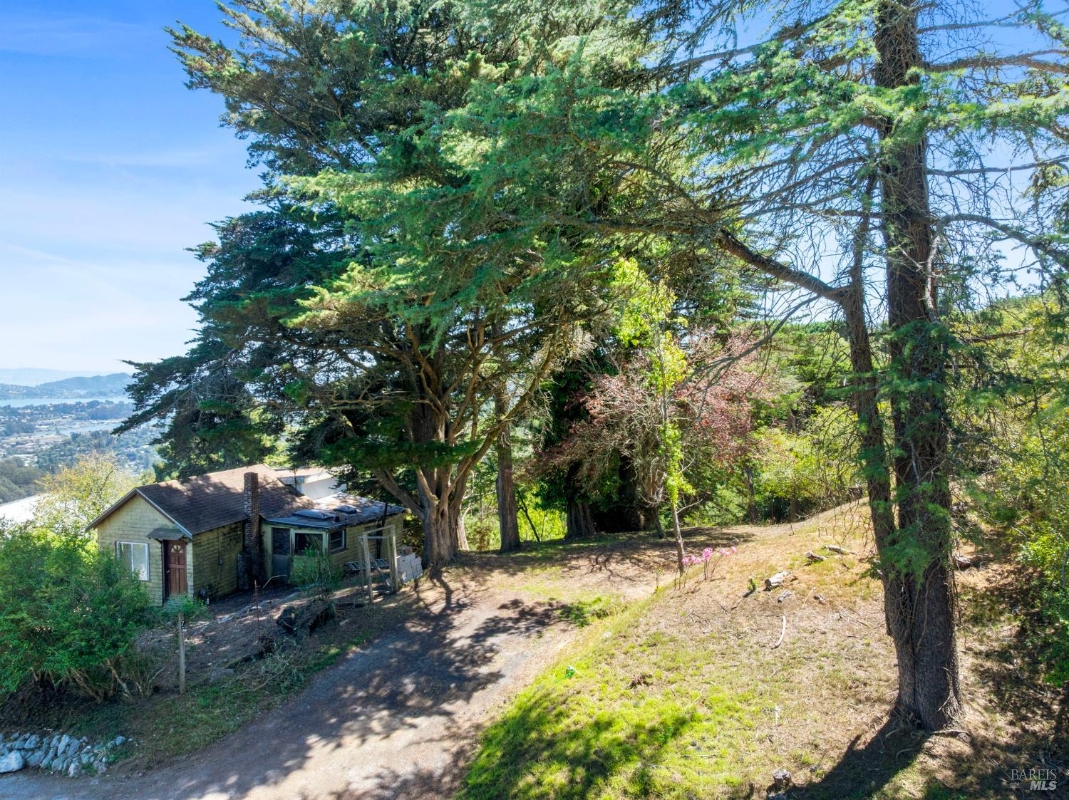 76 Monte Cimas Avenue Mill Valley CA 94941