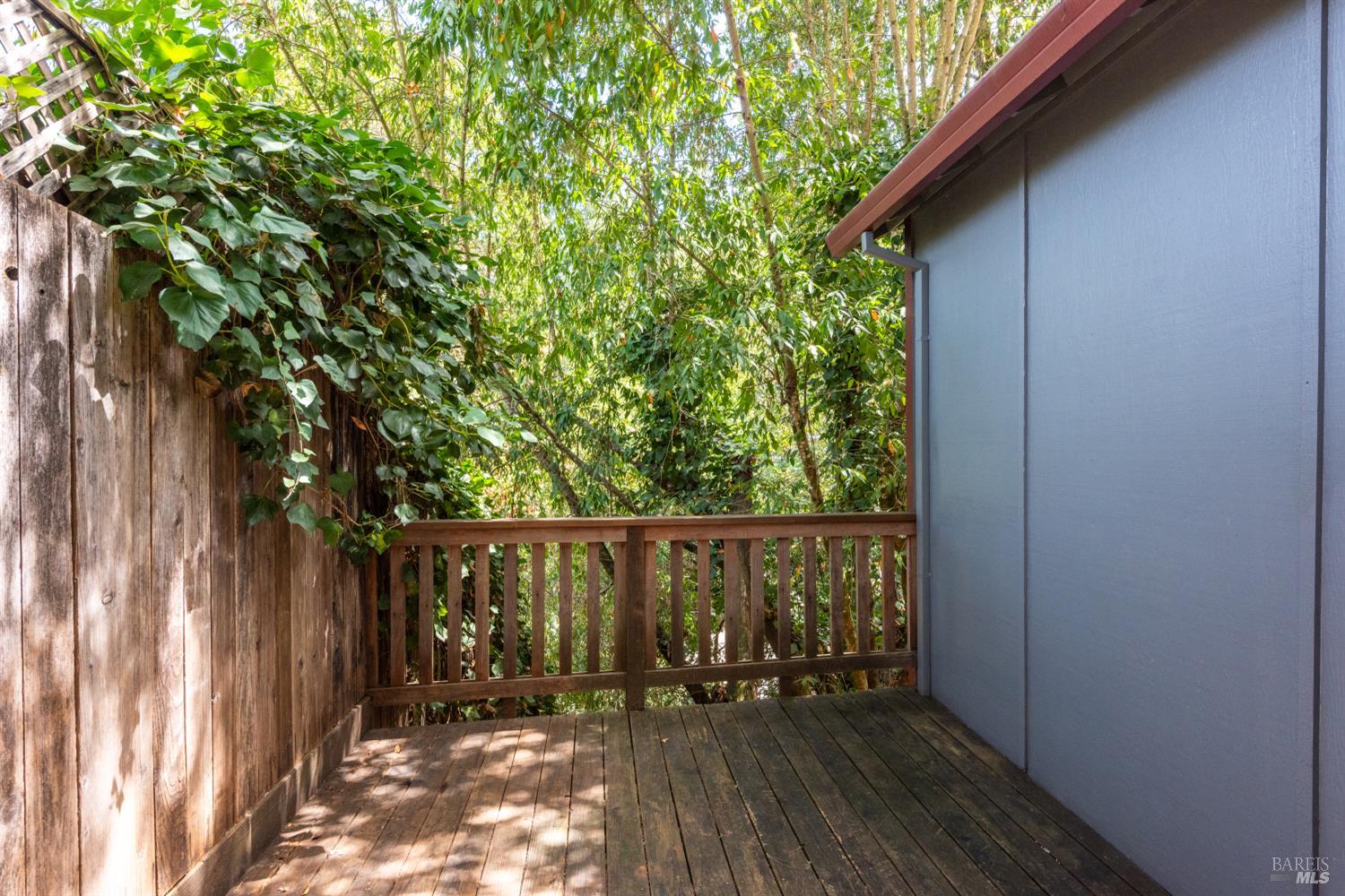 9779 Rio Vista Road Forestville CA 95436