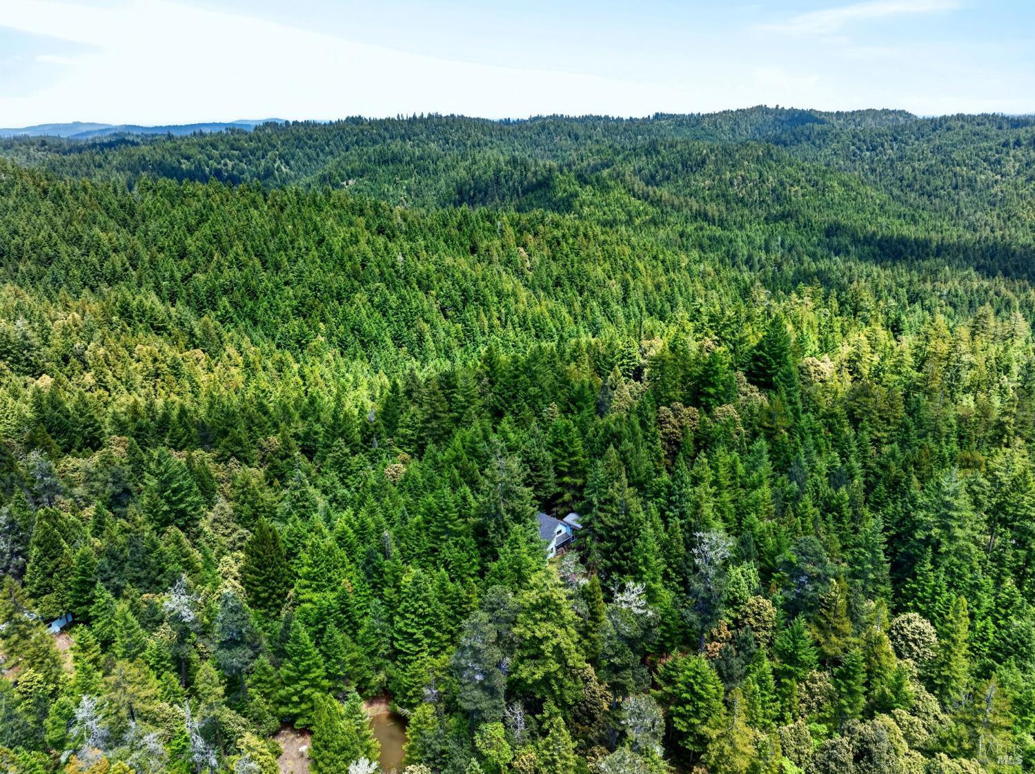 27421 Albion Ridge Road Albion CA 95410