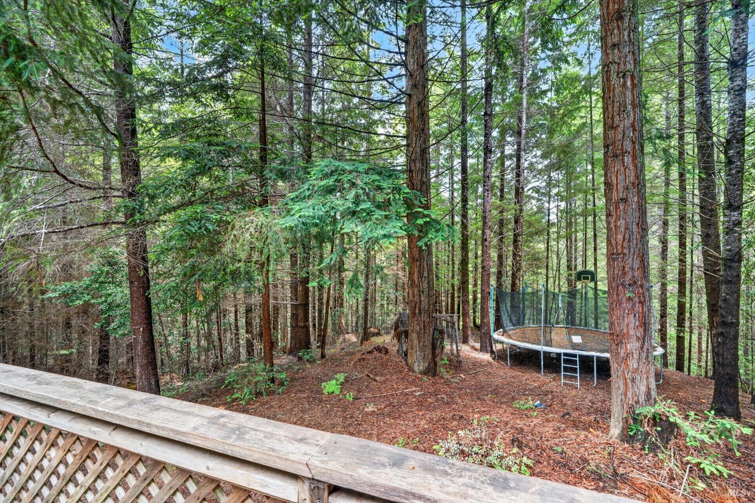 27421 Albion Ridge Road Albion CA 95410