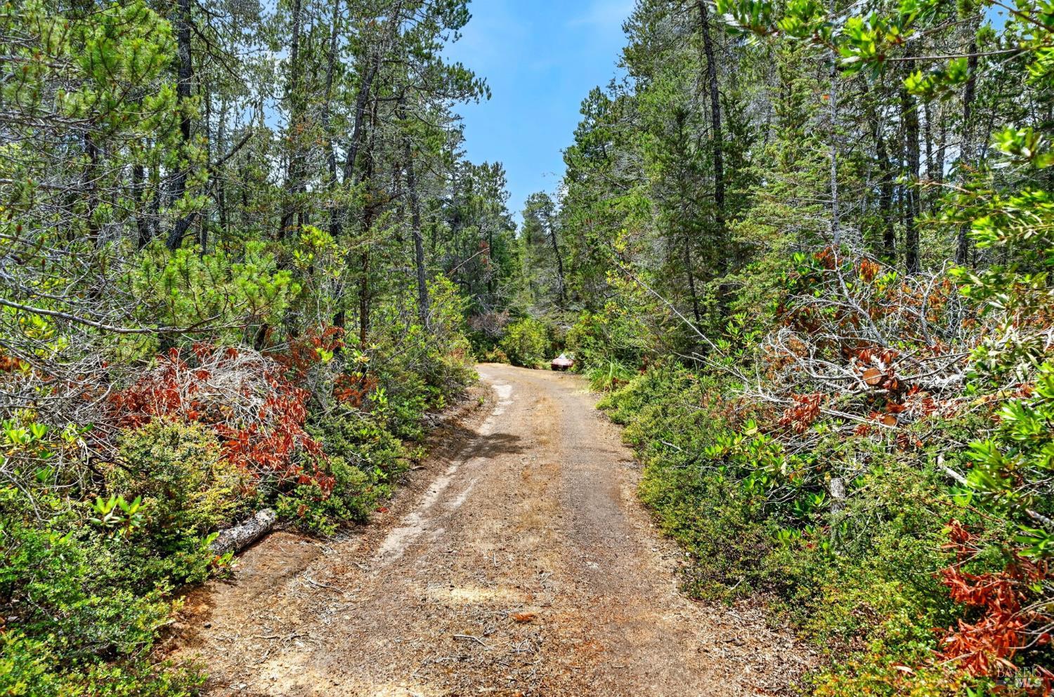 27421 Albion Ridge Road Albion CA 95410