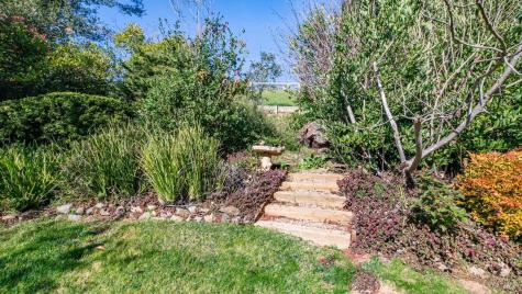 20 Carob Way Novato CA 94945