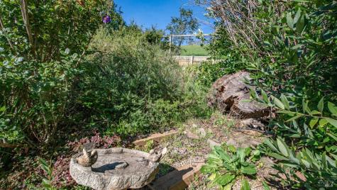 20 Carob Way Novato CA 94945