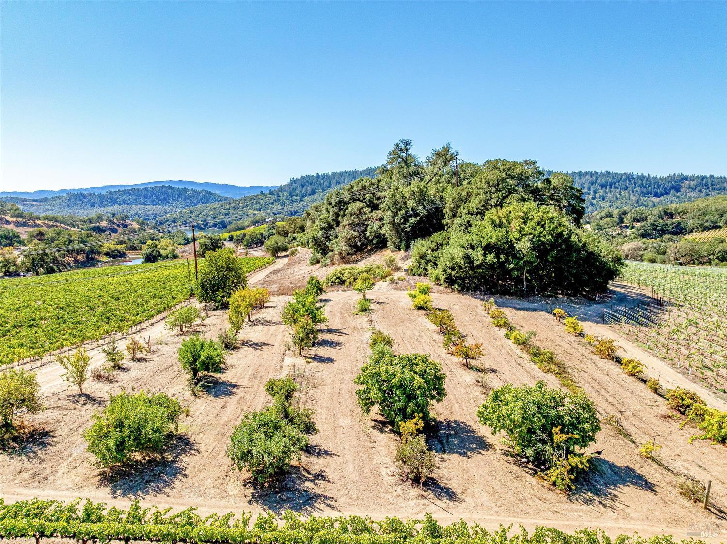 1740 Conn Valley Road St. Helena CA 94574