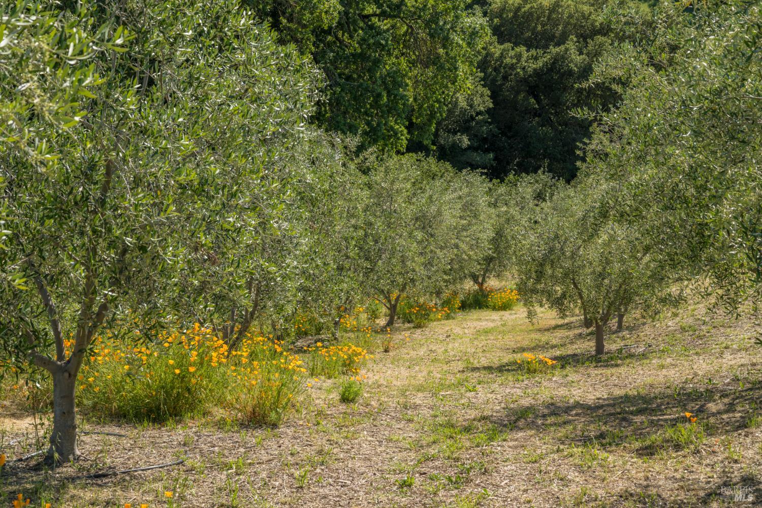 3075 Dry Creek Road Napa CA 94558