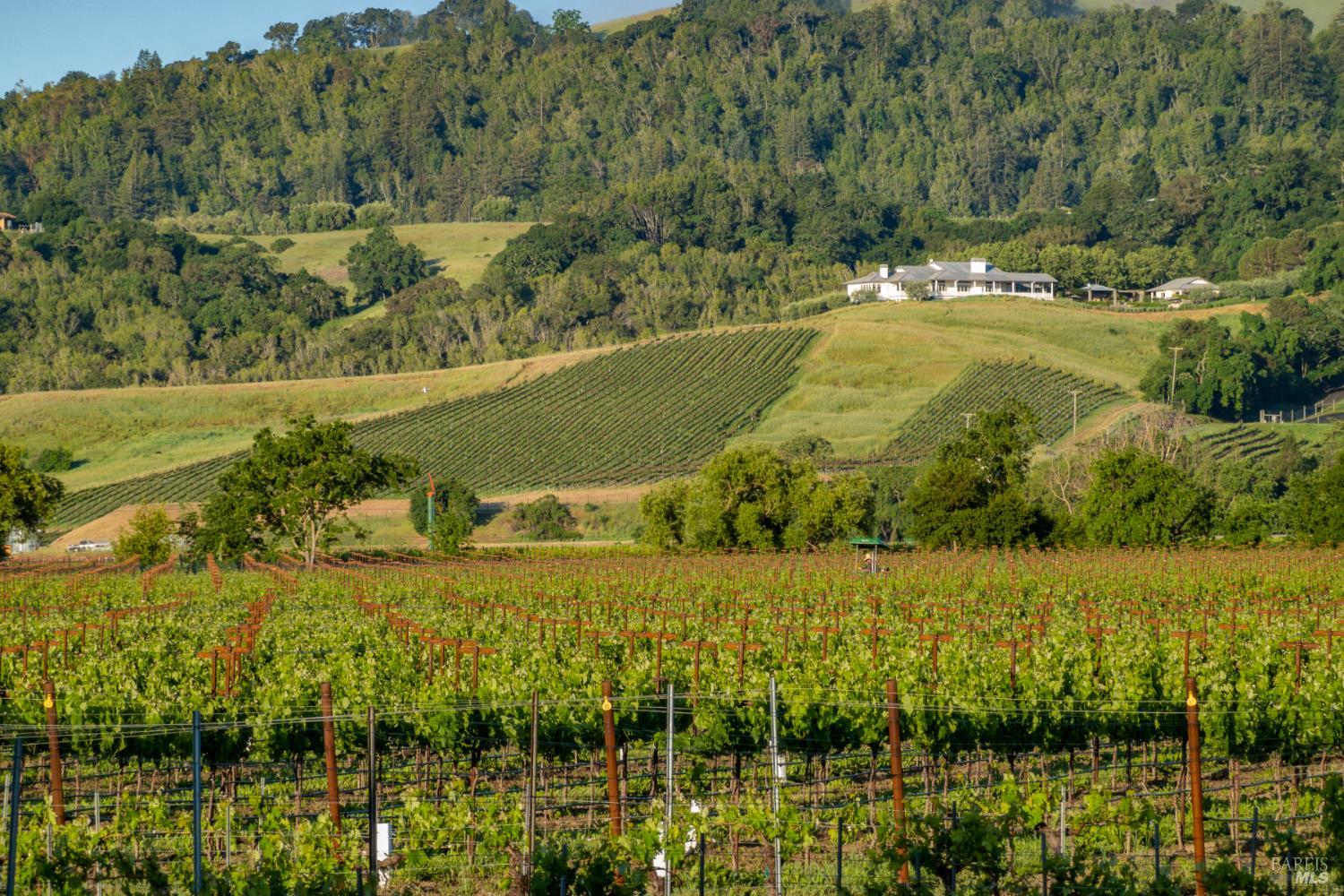 3075 Dry Creek Road Napa CA 94558