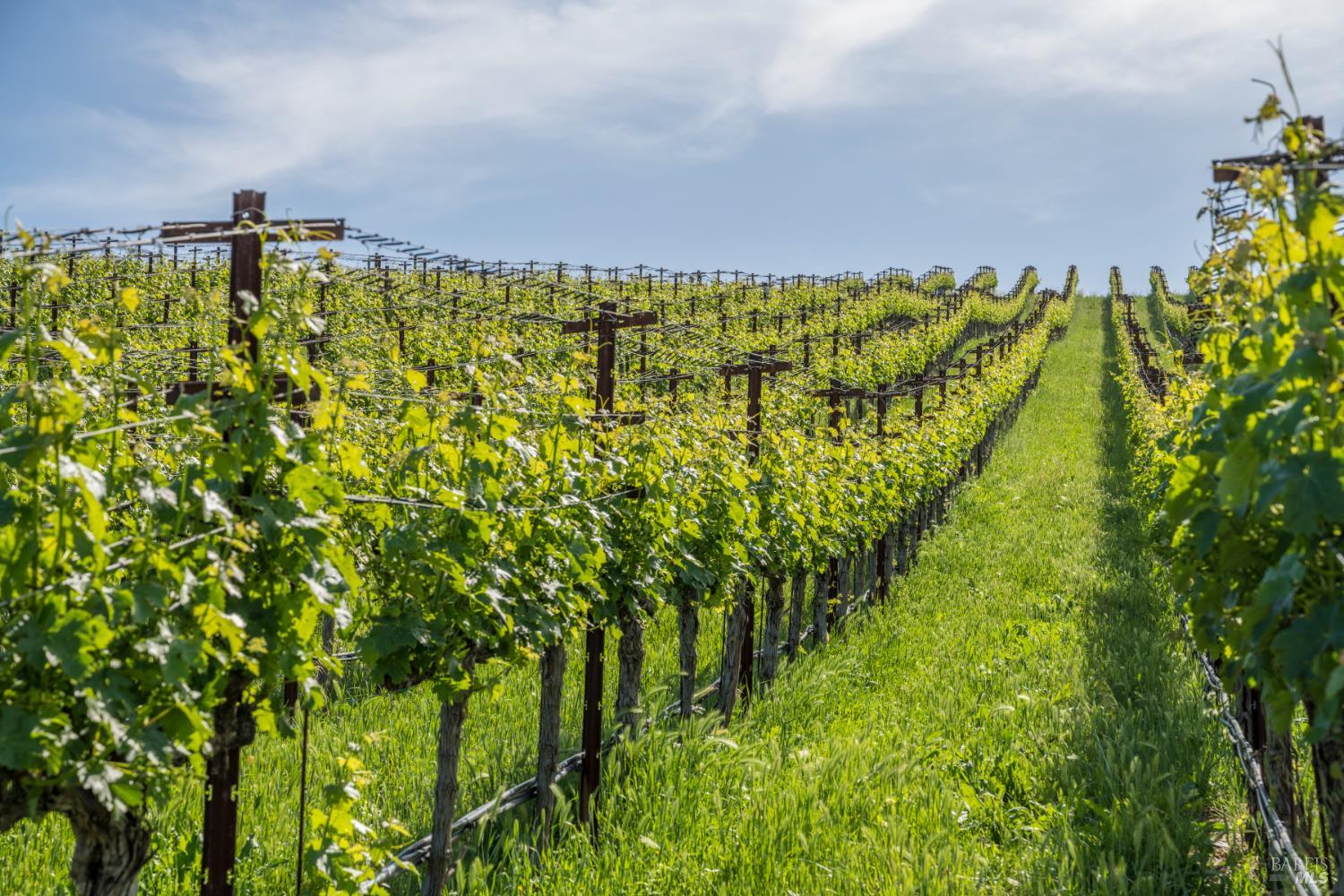 3075 Dry Creek Road Napa CA 94558