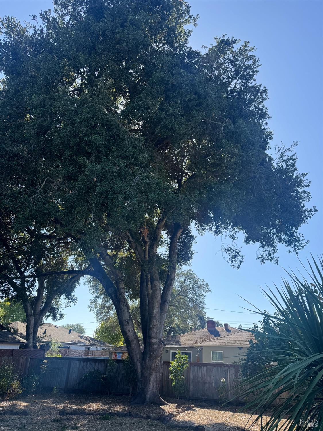 2117 Harris Court Santa Rosa CA 95401