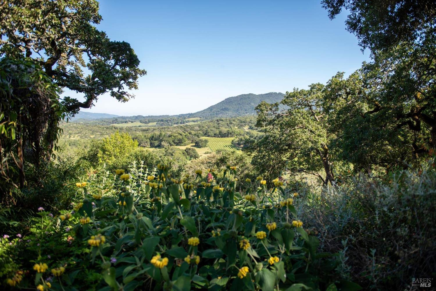 4296 Savannah Trail Santa Rosa CA 95404