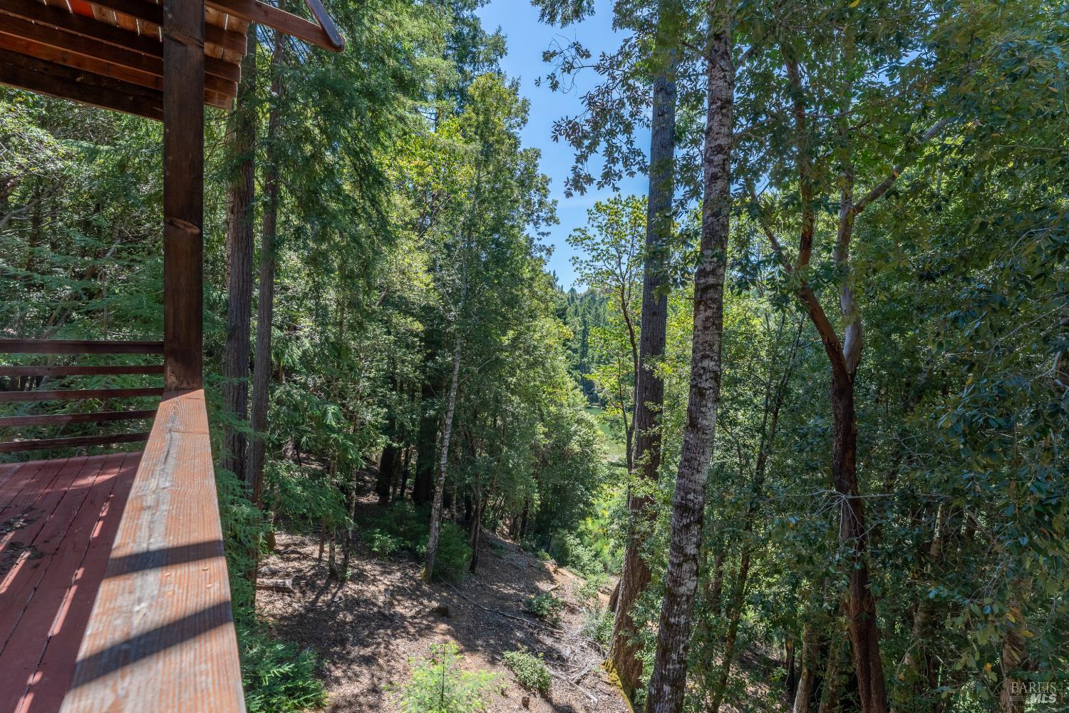 26095 Poppy Drive Willits CA 95490