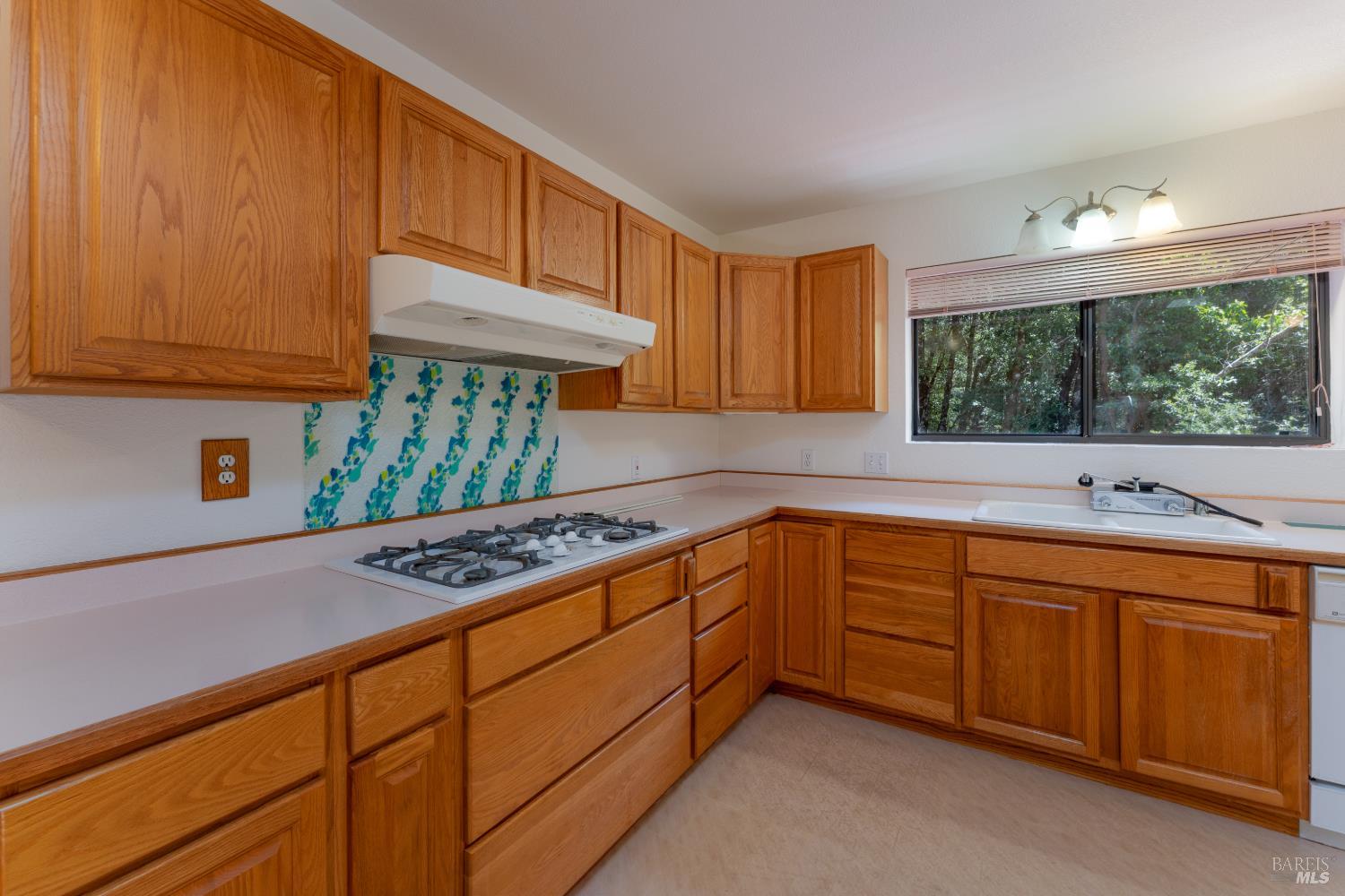 26095 Poppy Drive Willits CA 95490