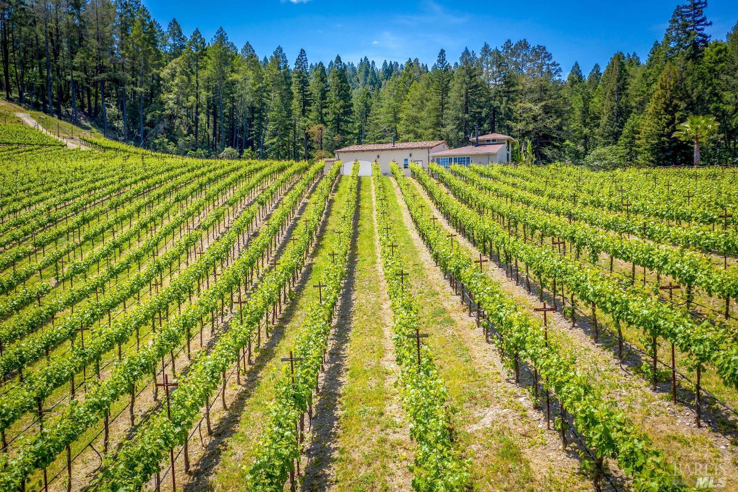 4447 N Street Helena Highway Calistoga CA 94515