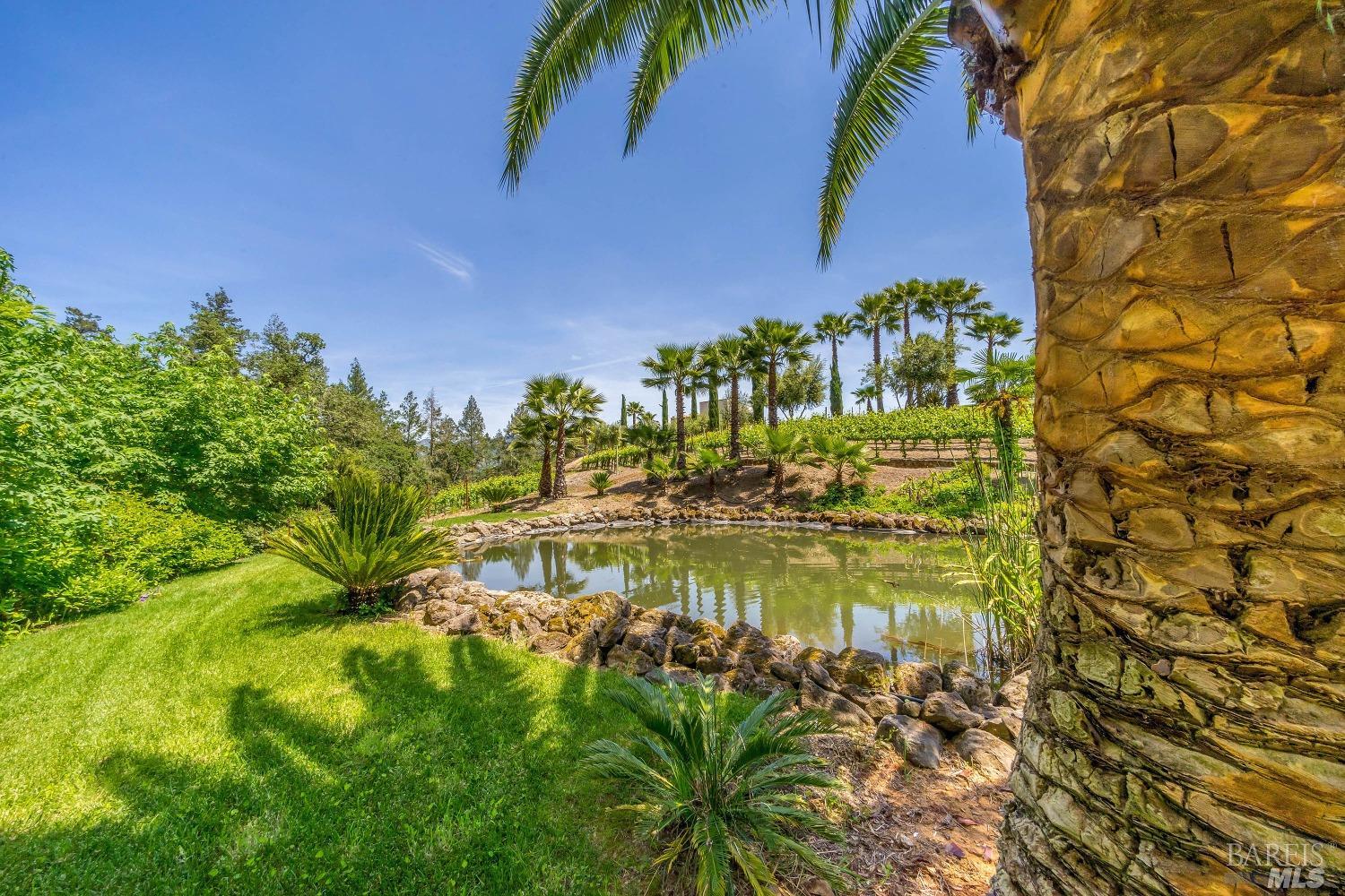 4447 N Street Helena Highway Calistoga CA 94515