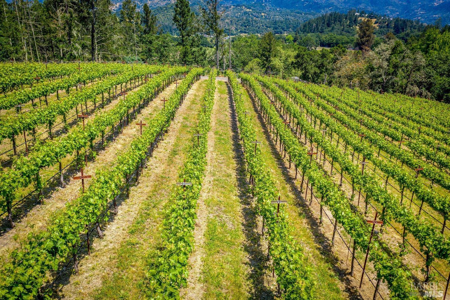 4447 N Street Helena Highway Calistoga CA 94515