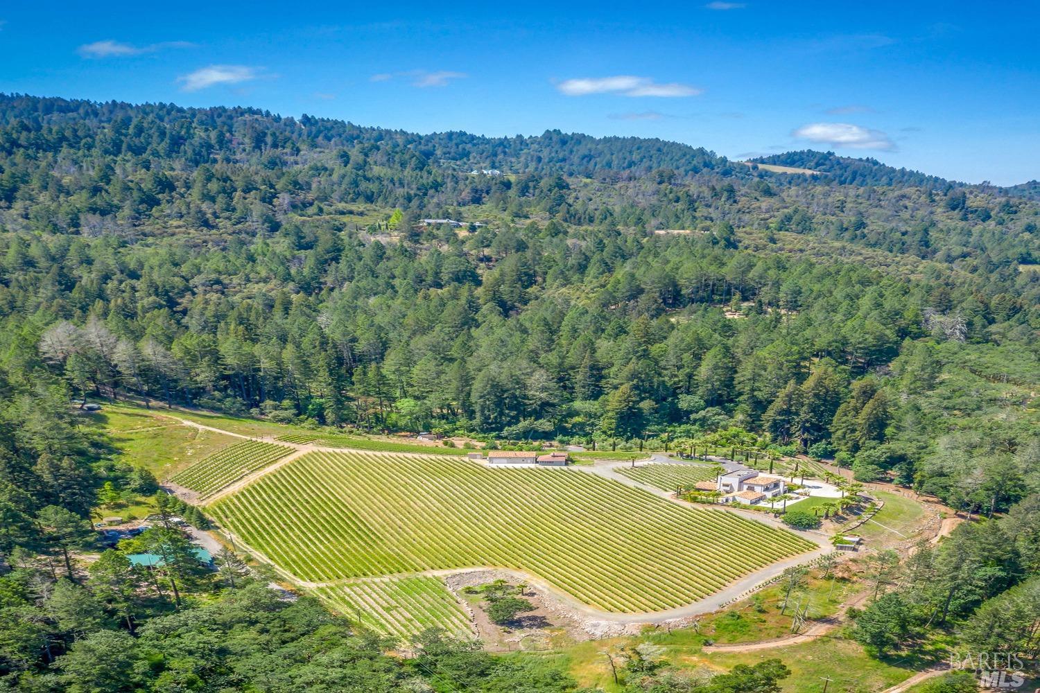 4447 N Street Helena Highway Calistoga CA 94515