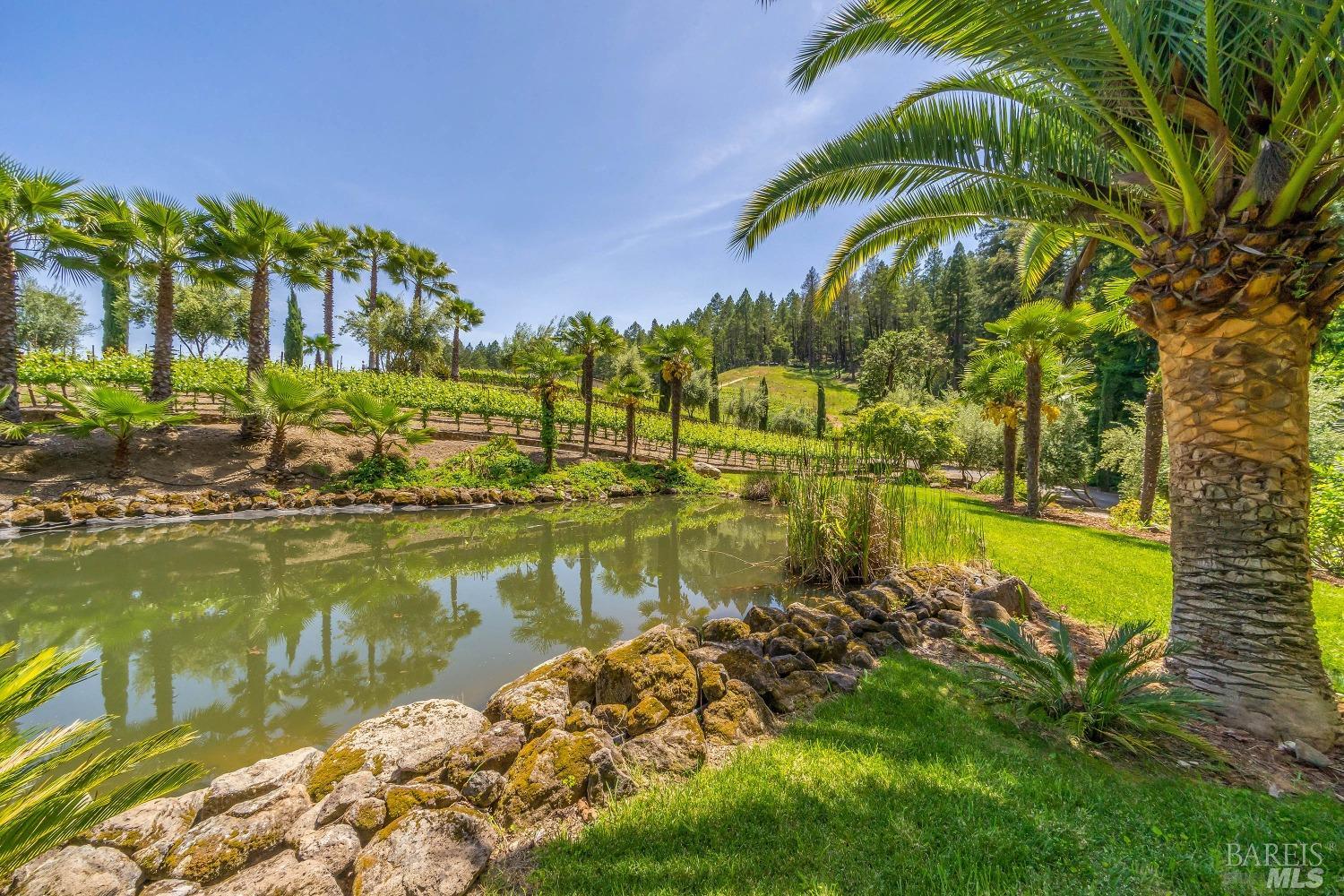4447 N Street Helena Highway Calistoga CA 94515