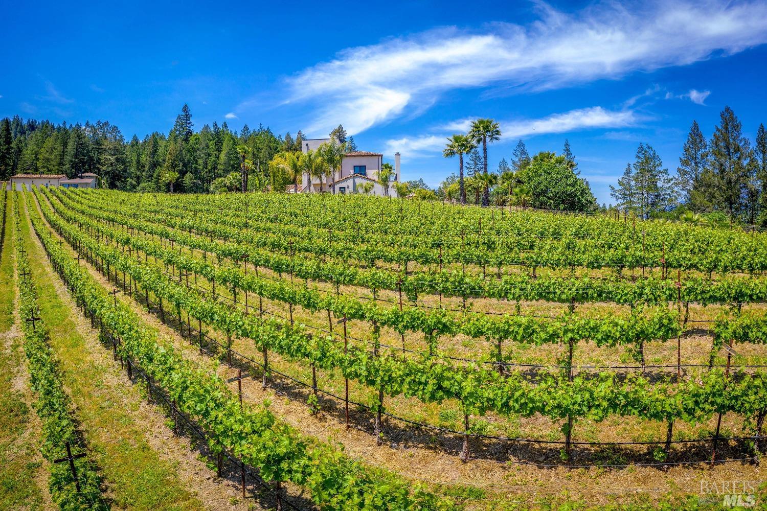 4447 N Street Helena Highway Calistoga CA 94515