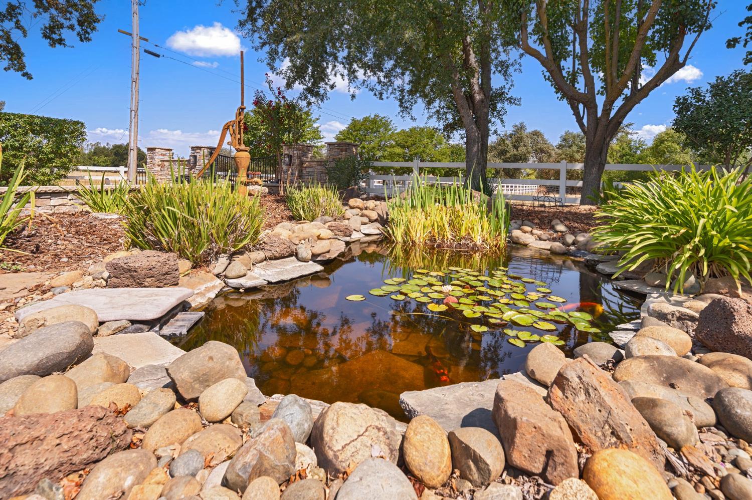 8655 Bader Road Elk Grove CA 95624