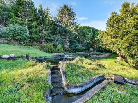 20 Redwood Avenue Inverness CA 94937