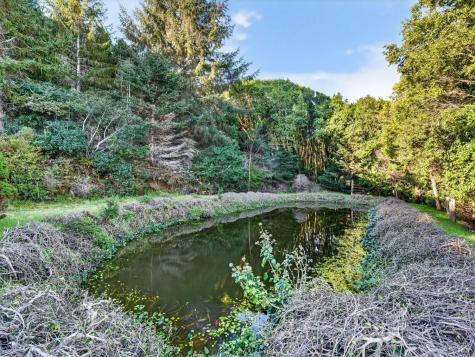20 Redwood Avenue Inverness CA 94937