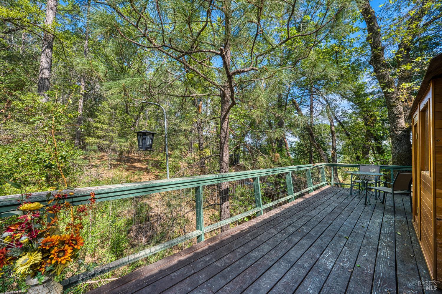 15306 Western Mine Road Middletown CA 95461
