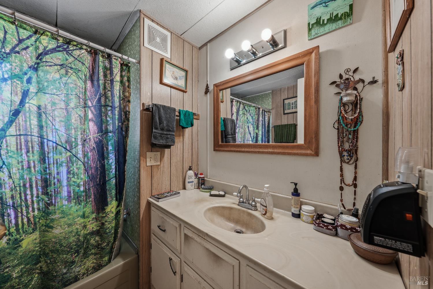 15306 Western Mine Road Middletown CA 95461