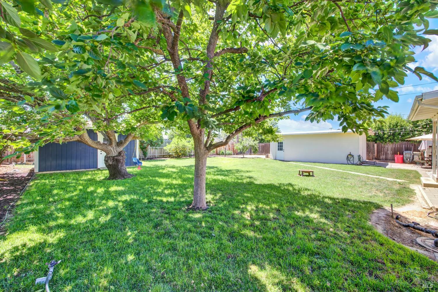390 S 3rd Street Dixon CA 95620