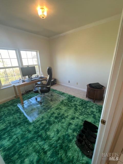 2410 Harness Drive Pope Valley CA 94567