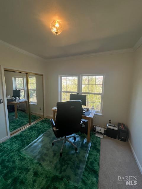 2410 Harness Drive Pope Valley CA 94567