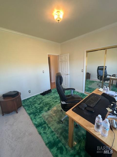 2410 Harness Drive Pope Valley CA 94567